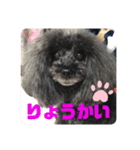 ふわふわ  オスマシ♡お姫様（個別スタンプ：40）