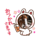 ペイントホースマンマちゃんのつぶやき！（個別スタンプ：8）