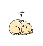 ねことぶたさん（個別スタンプ：20）