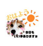 メルたんスタンプ2（個別スタンプ：1）