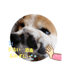 メルたんスタンプ2（個別スタンプ：3）