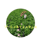 メルたんスタンプ2（個別スタンプ：5）