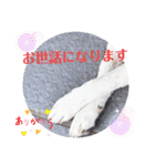 メルたんスタンプ2（個別スタンプ：6）