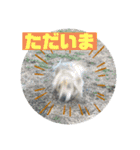 レオの1日〜日常会話〜（個別スタンプ：5）