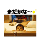 ワニ家のりつくん 第2弾（個別スタンプ：29）