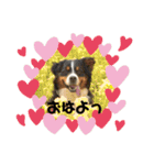 スチコ家（個別スタンプ：3）