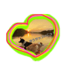 スチコ家（個別スタンプ：4）