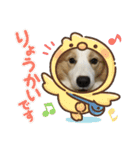 スチコ家（個別スタンプ：23）