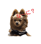 otorenスタンプ（個別スタンプ：15）