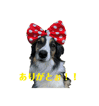 belaちゃんち（個別スタンプ：23）