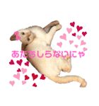 ～♡かわいいどうぶつ♡～（個別スタンプ：13）