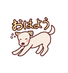 毎日使える！犬のシロちゃんスタンプ（個別スタンプ：1）