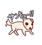 毎日使える！犬のシロちゃんスタンプ（個別スタンプ：12）