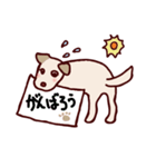 毎日使える！犬のシロちゃんスタンプ（個別スタンプ：21）