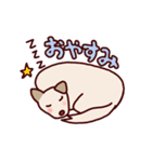 毎日使える！犬のシロちゃんスタンプ（個別スタンプ：33）