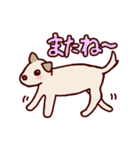 毎日使える！犬のシロちゃんスタンプ（個別スタンプ：34）