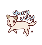 毎日使える！犬のシロちゃんスタンプ（個別スタンプ：38）