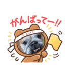 ぶさかわブルドッグのベティちゃん♡3（個別スタンプ：14）
