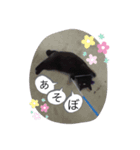 冨樫くろのスタンプ（個別スタンプ：6）