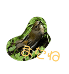 ぺっとのはむすたーとまどにぶつかったとり（個別スタンプ：3）