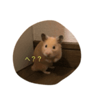 ウニくんスタンプ2（個別スタンプ：8）