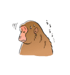 さるづくし（個別スタンプ：11）