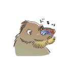 さるづくし（個別スタンプ：13）