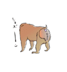 さるづくし（個別スタンプ：24）