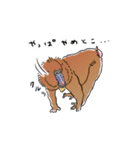 さるづくし（個別スタンプ：25）