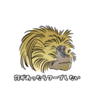 さるづくし（個別スタンプ：38）