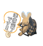 白ウサギのクヌギスタンプ（個別スタンプ：2）