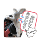 白ウサギのクヌギスタンプ（個別スタンプ：3）
