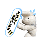 白ウサギのクヌギスタンプ（個別スタンプ：4）