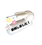 白ウサギのクヌギスタンプ（個別スタンプ：6）