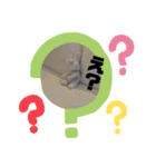 白ウサギのクヌギスタンプ（個別スタンプ：11）