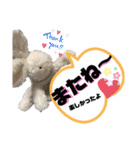 白ウサギのクヌギスタンプ（個別スタンプ：15）