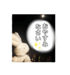 白ウサギのクヌギスタンプ（個別スタンプ：16）