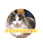 猫と犬を愛する少女（個別スタンプ：4）