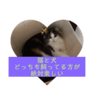 猫と犬を愛する少女（個別スタンプ：5）