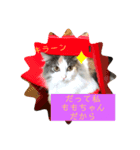 猫と犬を愛する少女（個別スタンプ：7）