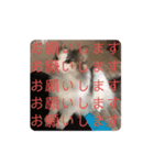 猫と犬を愛する少女（個別スタンプ：8）