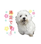 るくさんっ（個別スタンプ：2）