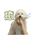 るくさんっ（個別スタンプ：10）