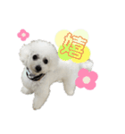 るくさんっ（個別スタンプ：16）