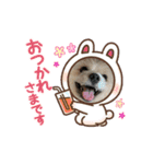 我が家のハーフ犬ポメチ⑧（個別スタンプ：2）