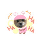我が家のハーフ犬ポメチ⑧（個別スタンプ：9）