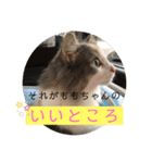 ももの気持ち2（個別スタンプ：1）