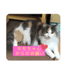 ももの気持ち2（個別スタンプ：5）