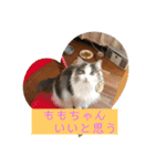 ももの気持ち2（個別スタンプ：6）