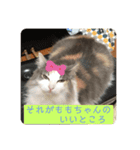 ももの気持ち2（個別スタンプ：7）